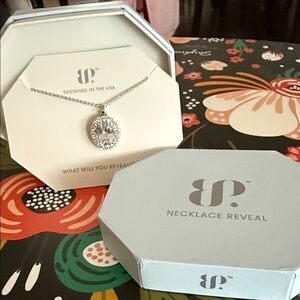 bp Silver Teardrop Halo Pendant Necklace